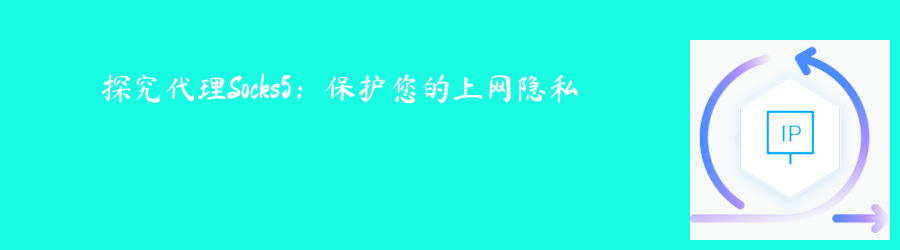 探究代理Socks5:保护您的上网隐私 大数据爬虫